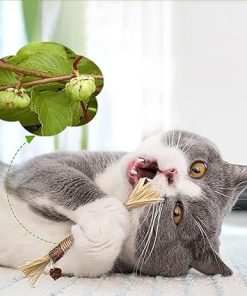 Kitty Tooth Cleaning Sticks