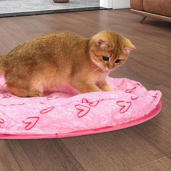 Cat Hide and Seek Game