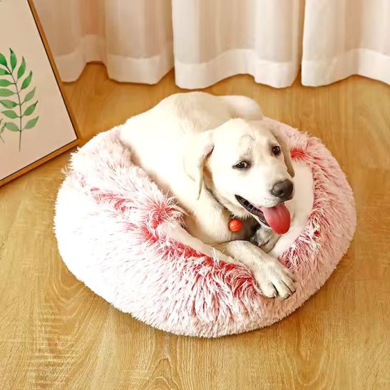 2in1 Dog Cuddle Cave