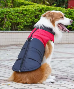 Waterproof And Warm Dog Jacket For Cold Days