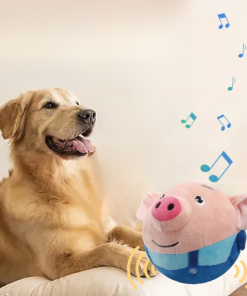 Bouncing Pig - Interactive Dog Toy